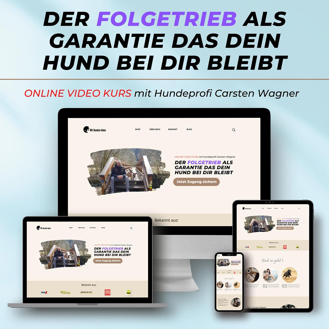 Der Folgetrieb als Garantie dafür, dass dein Hund bei dir bleibt