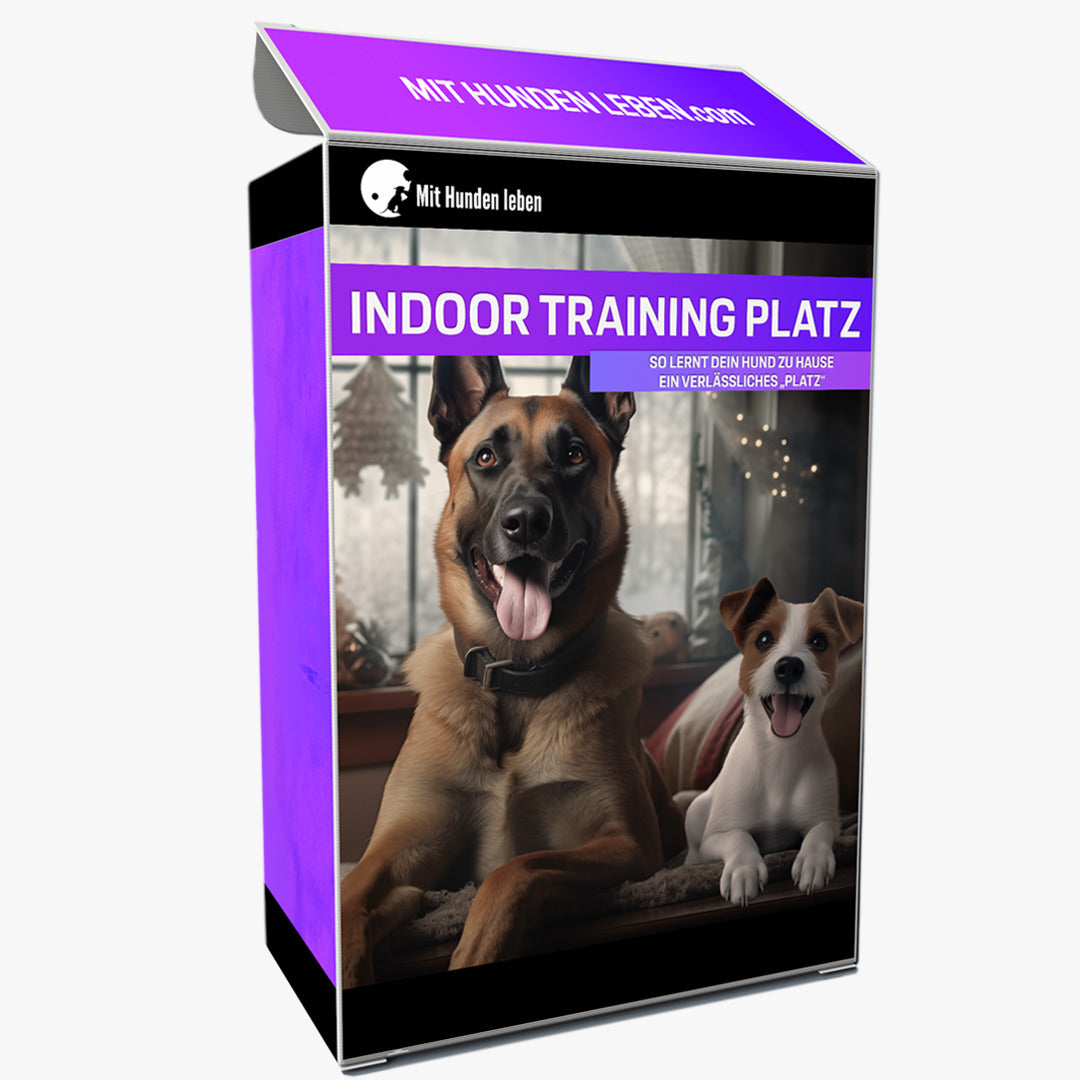 Wie Du deinem Hund zu Hause das perfekte Platz beibringst!
