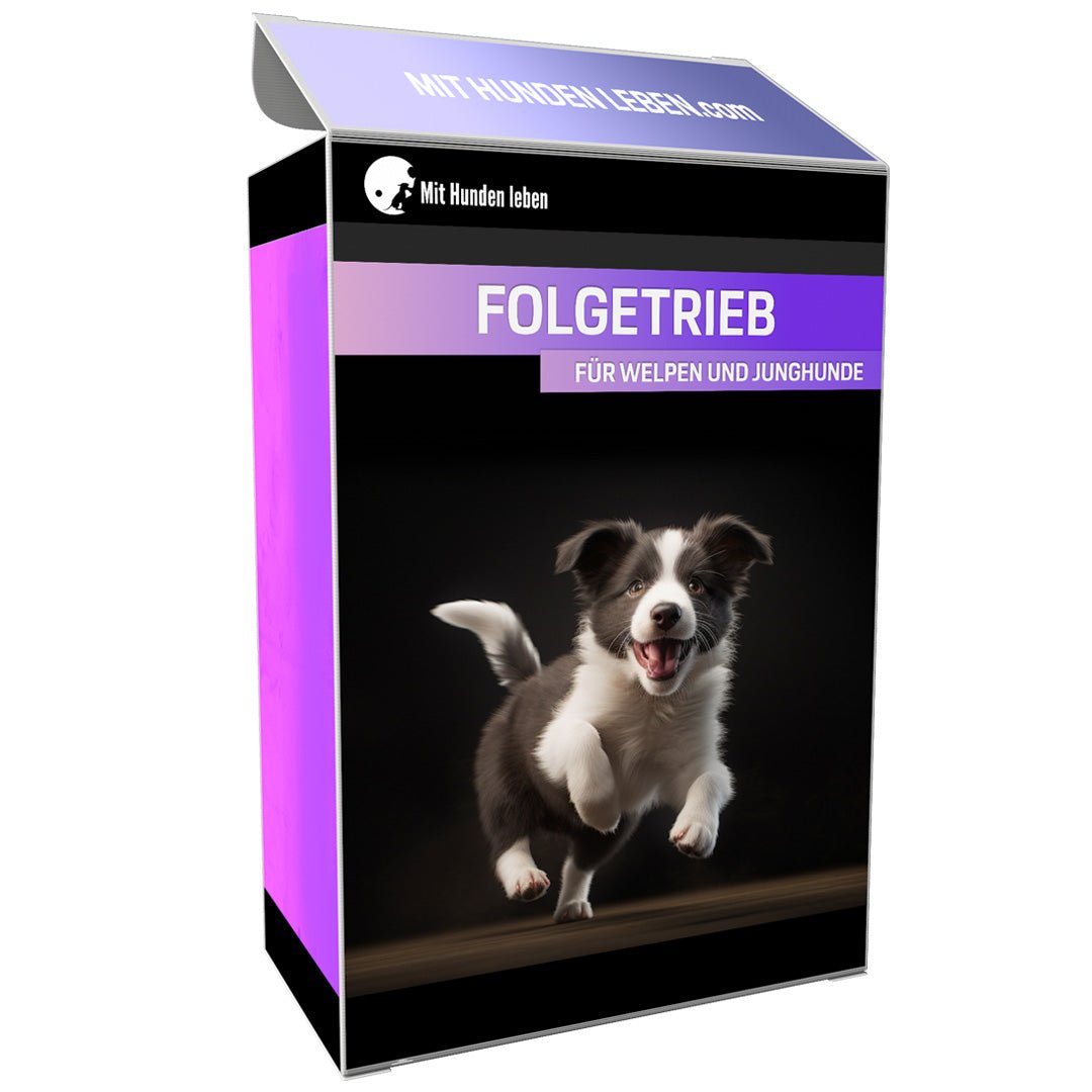 Der Folgetrieb als Garantie dafür, dass dein Hund bei dir bleibt - Mit Hunden leben