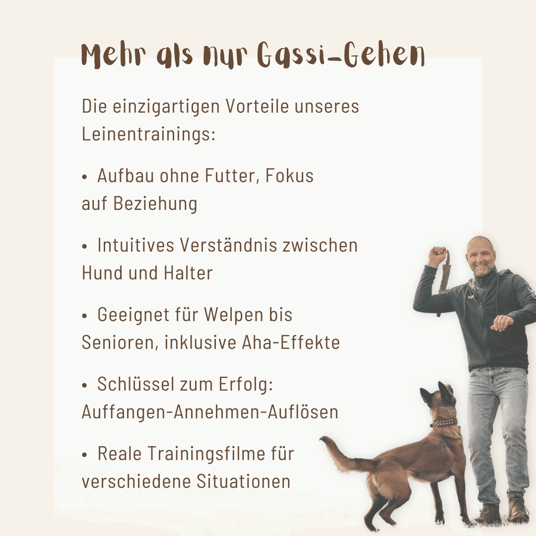 Leinentraining: Werde zum Profi an der Leine! - Mit Hunden leben