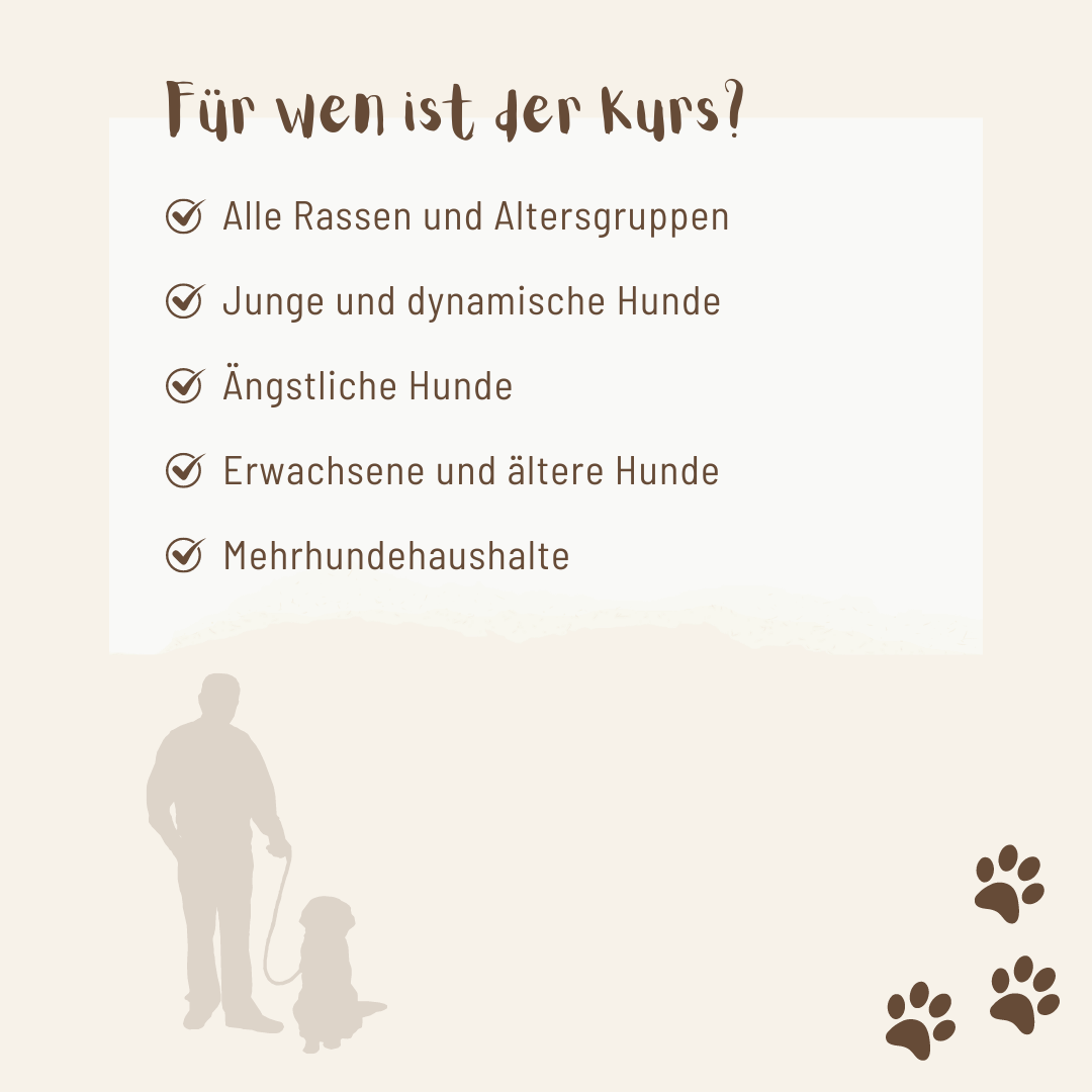 Leinentraining: Werde zum Profi an der Leine! - Mit Hunden leben