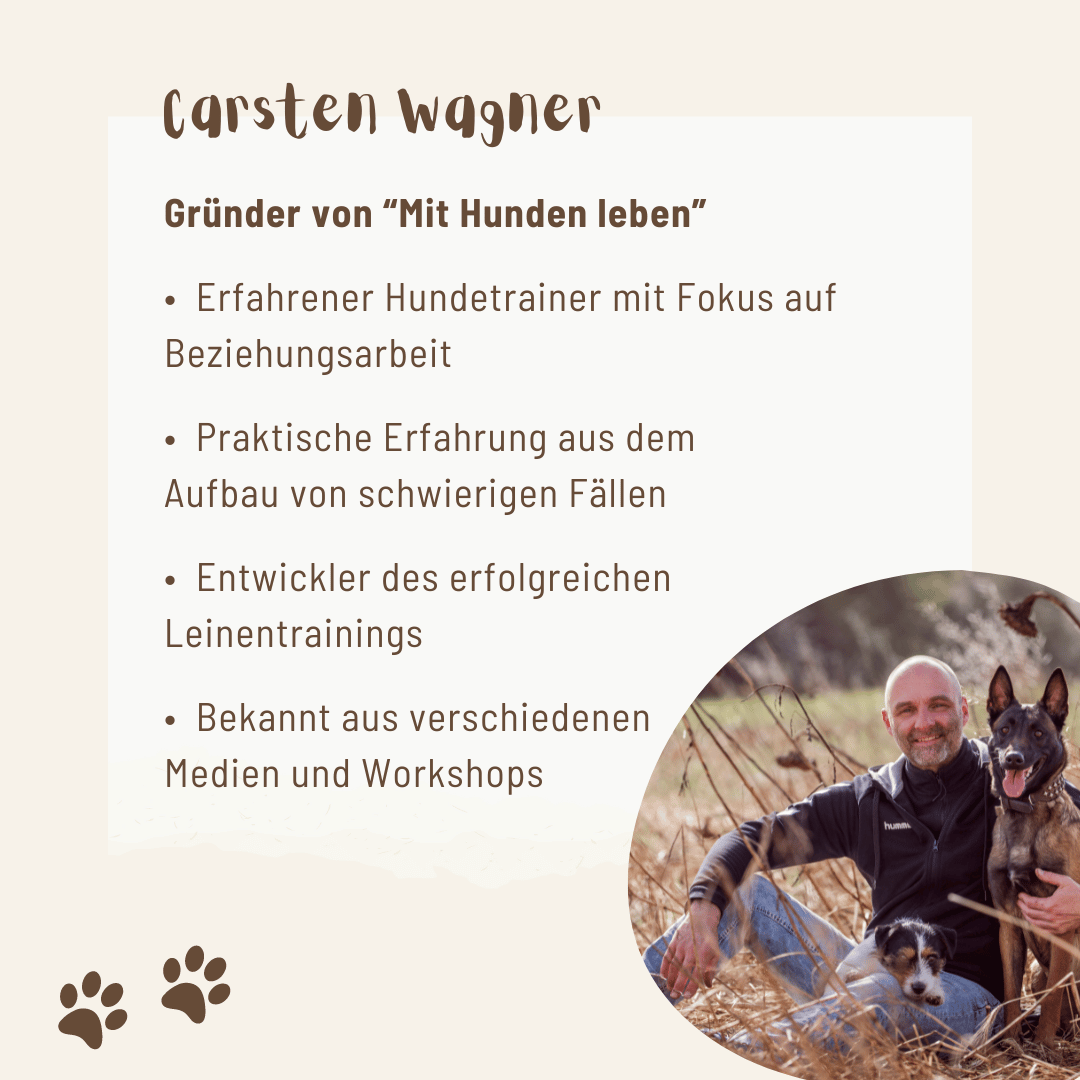 Leinentraining: Werde zum Profi an der Leine! - Mit Hunden leben