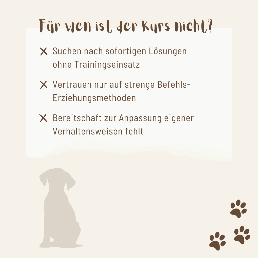 Mit dem Bindungssignal kommt dein Hund immer zurück zu dir - Mit Hunden leben