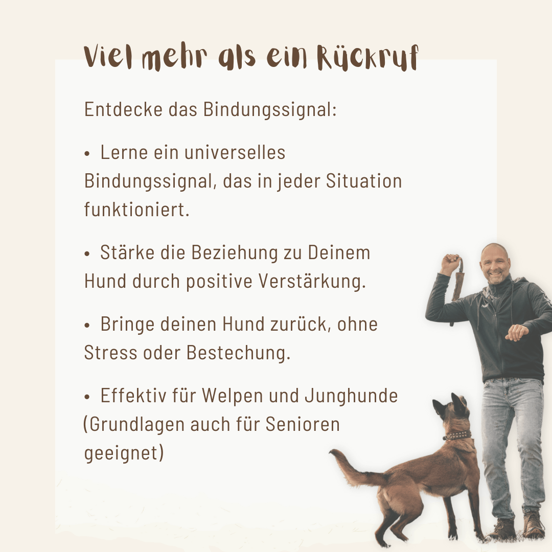 Mit dem Bindungssignal kommt dein Hund immer zurück zu dir - Mit Hunden leben