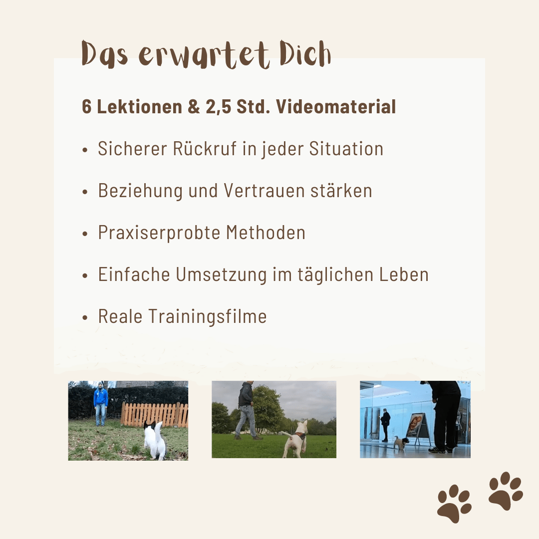 Mit dem Bindungssignal kommt dein Hund immer zurück zu dir - Mit Hunden leben
