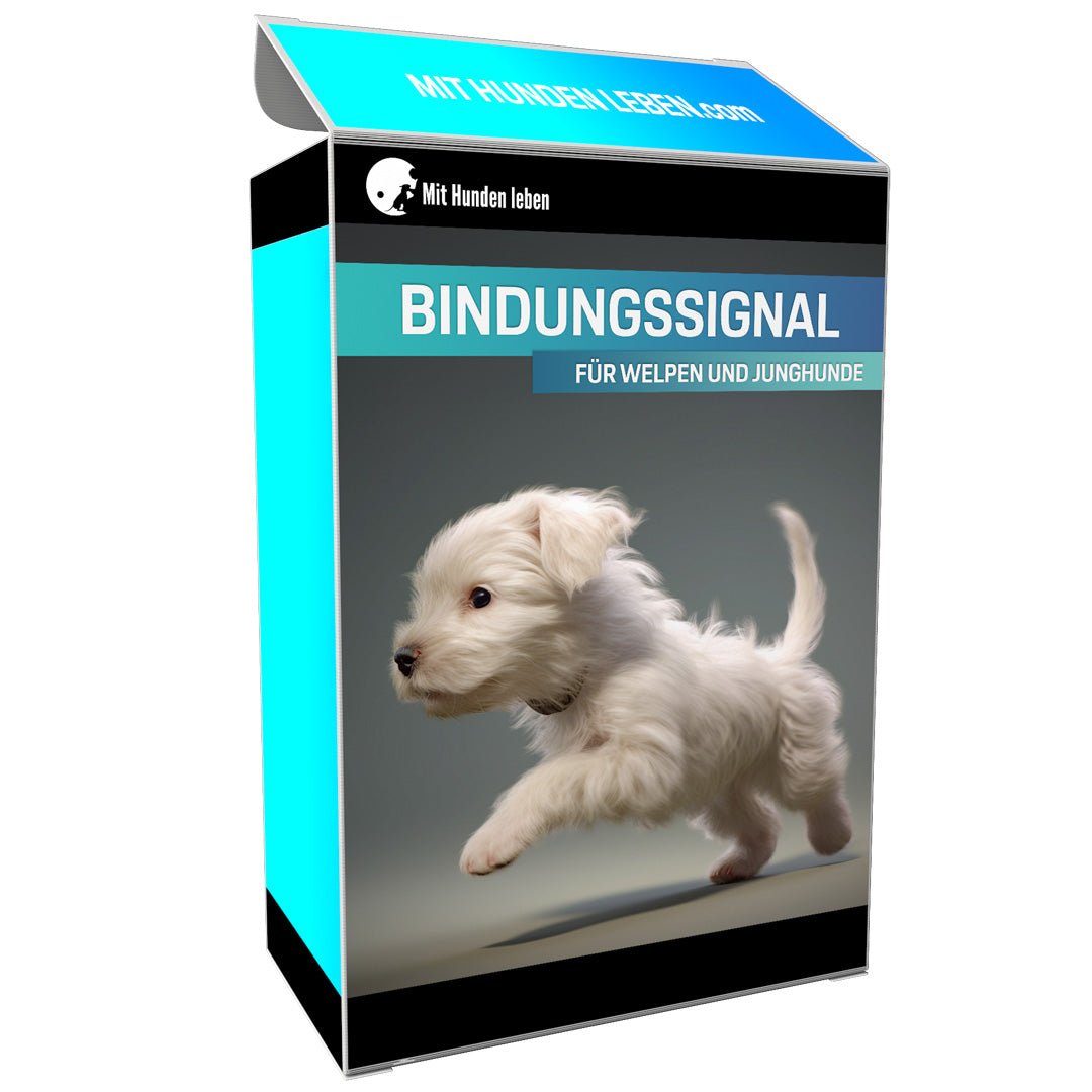 Mit dem Bindungssignal kommt dein Hund immer zurück zu dir - Mit Hunden leben