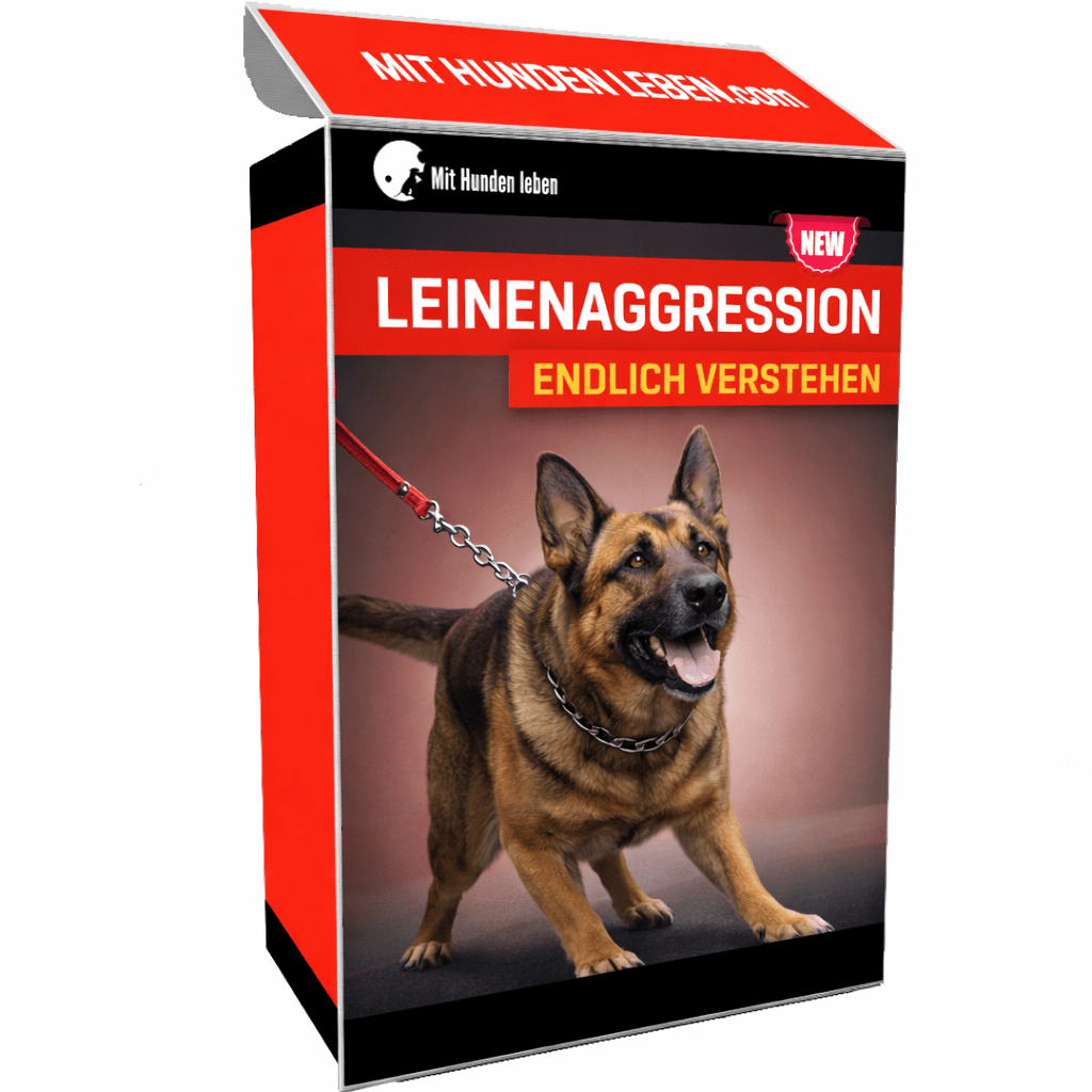 NEU - Leinenaggression: Warum dein Hund so reagiert und wie du es nachhaltig veränderst - Mit Hunden leben