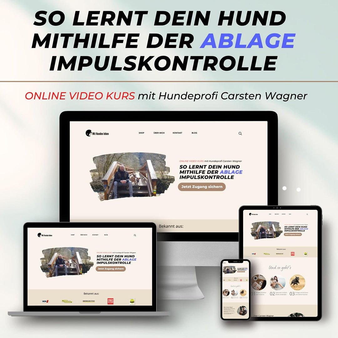 So lernt dein Hund mithilfe der Ablage Impulskontrolle - Mit Hunden leben