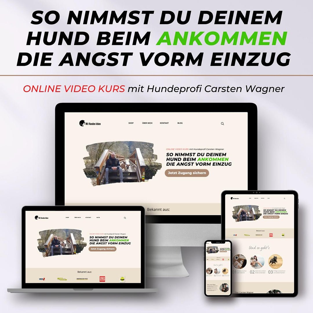 So nimmst Du deinem Hund beim Ankommen die Angst vorm Einzug - Mit Hunden leben
