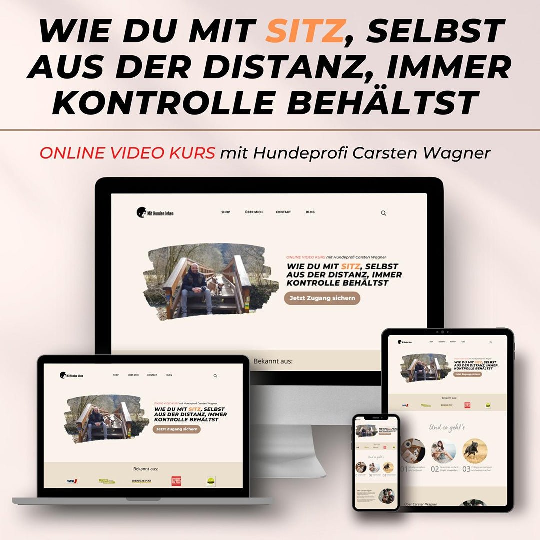 Wie Du mit Sitz selbst aus der Distanz immer Kontrolle behältst - Mit Hunden leben