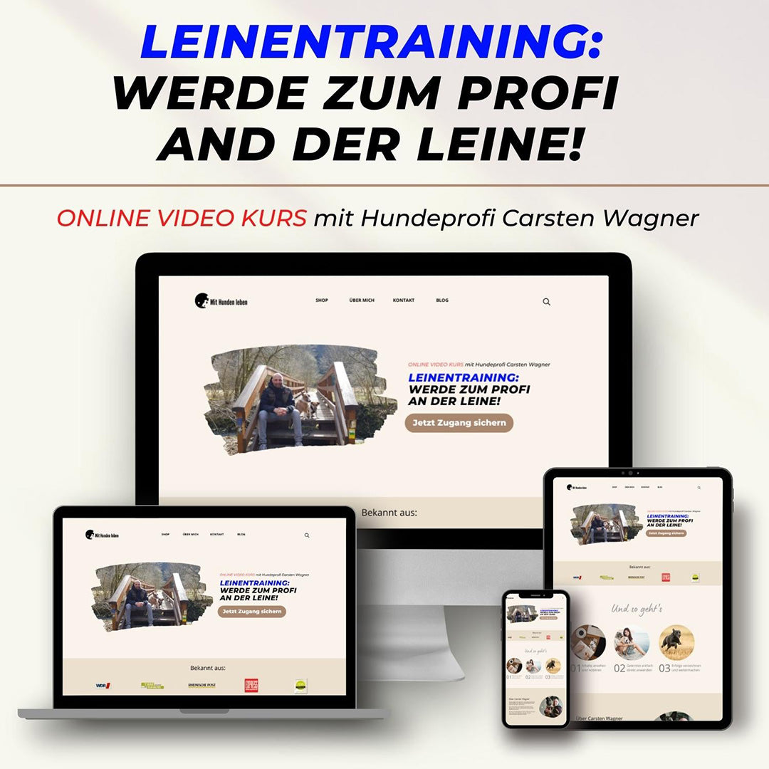 Leinentraining: Werde zum Profi an der Leine! + 100% gratis Bindungssignal Kurs (Wert: 67€)