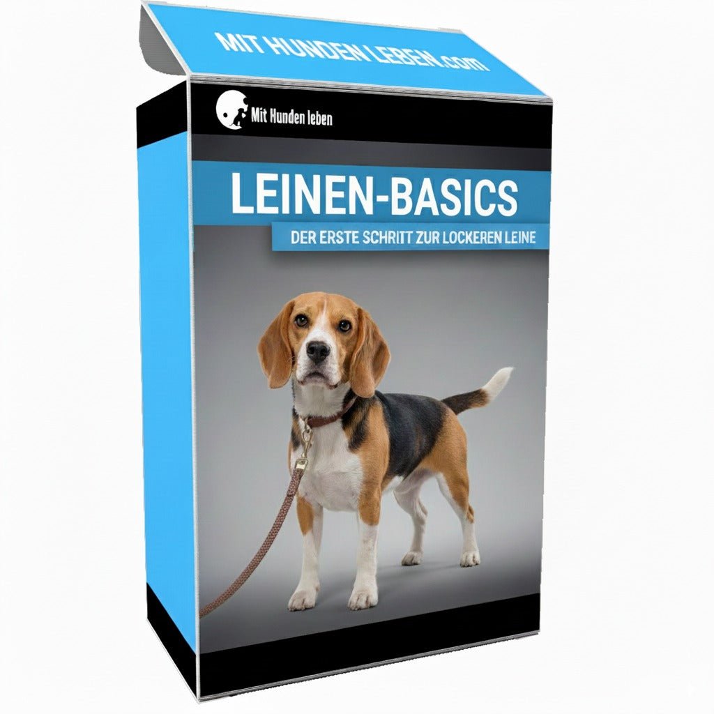 Leinen - Basics: Der erste Schritt zur lockeren Leine - Mit Hunden leben