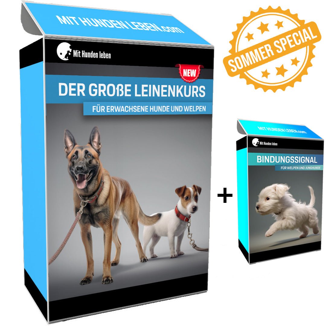 Leinentraining: Werde zum Profi an der Leine! - Mit Hunden leben