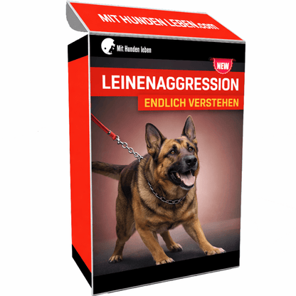 NEU - Leinenaggression: Warum dein Hund so reagiert und wie du es nachhaltig veränderst - Mit Hunden leben