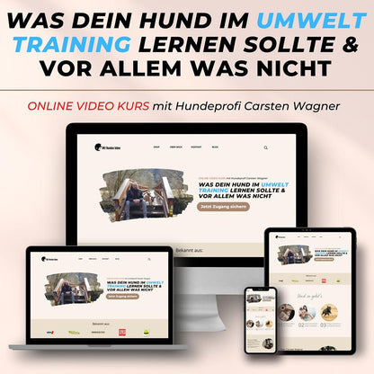 Was dein Hund im Umwelttraining lernen sollte &amp; vor allem was nicht - Mit Hunden leben