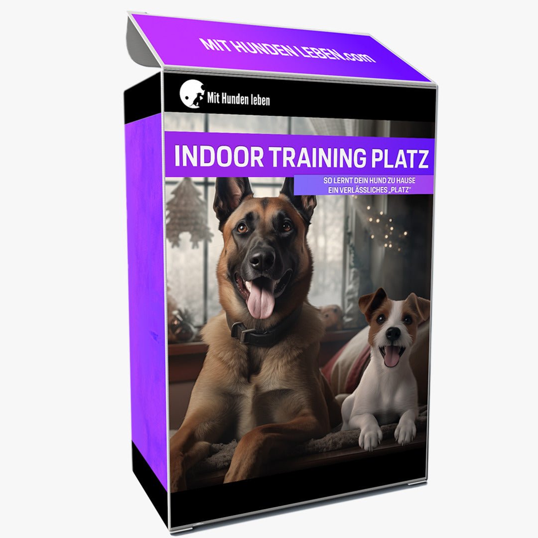 Wie Du deinem Hund zu Hause das perfekte Platz beibringst! - Mit Hunden leben
