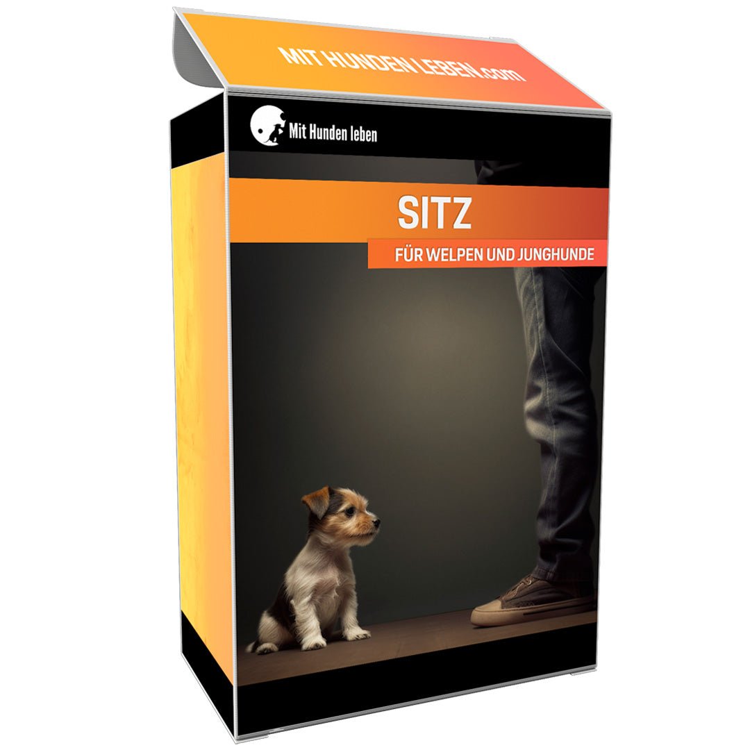Wie Du mit Sitz selbst aus der Distanz immer Kontrolle behältst - Mit Hunden leben