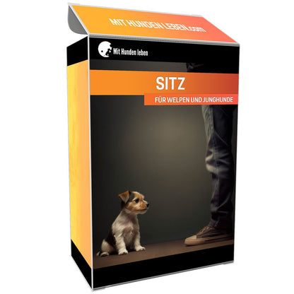 Wie Du mit Sitz selbst aus der Distanz immer Kontrolle behältst - Mit Hunden leben